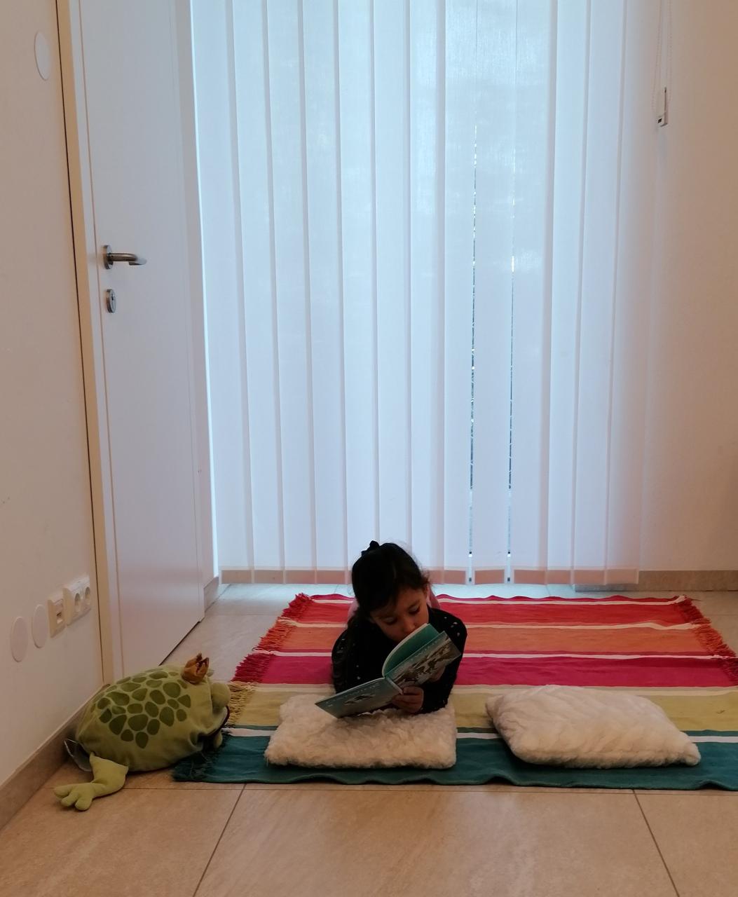 Bibliotheksführerschein